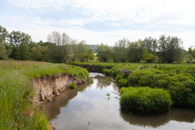 5X Wandelen Langs Rivieren Geul