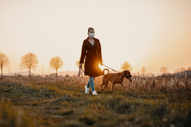 afbeelding van een vrouw die met een hond wandelt, met een mondkapje op.
