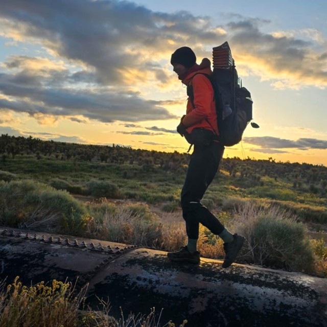 Wandelen aan de andere kant van de wereld: Te Araroa