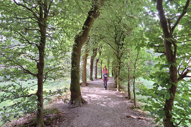 Groene Wissel Baarn Paleis, Historisch Baarn