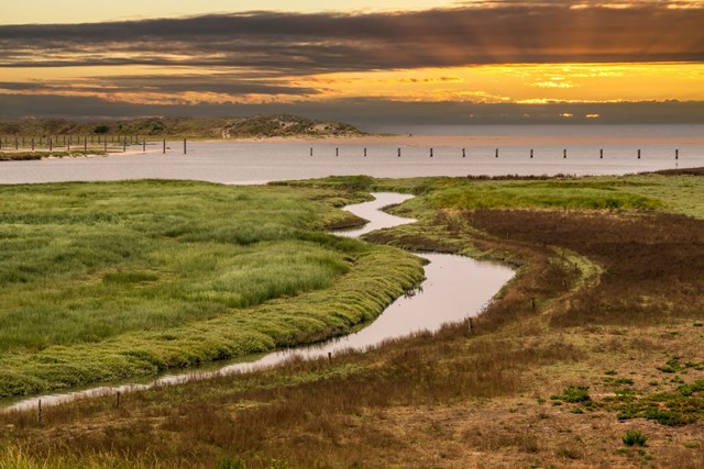 10X Verrassende Grenswandelingen; Omgeving Zwin