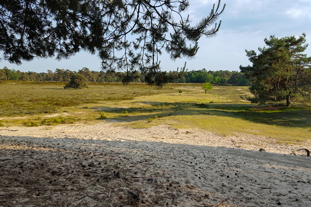 Blotevoetenpad Friesland Drents Friese Wold Blotevoetenpad Friesland