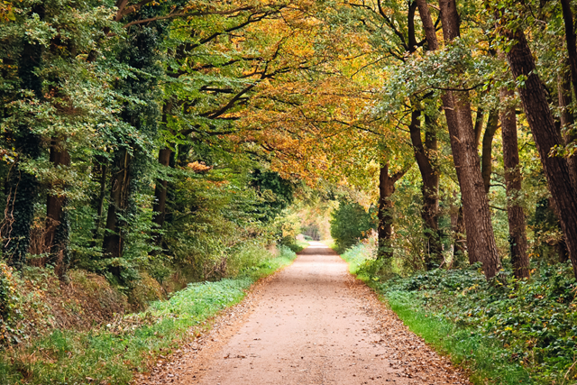 Klompenpad Achterhoek Achterwooldsepad Afwisselend Landschap