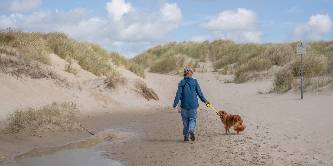 Met de hond wandelen op Texel: De Hors
