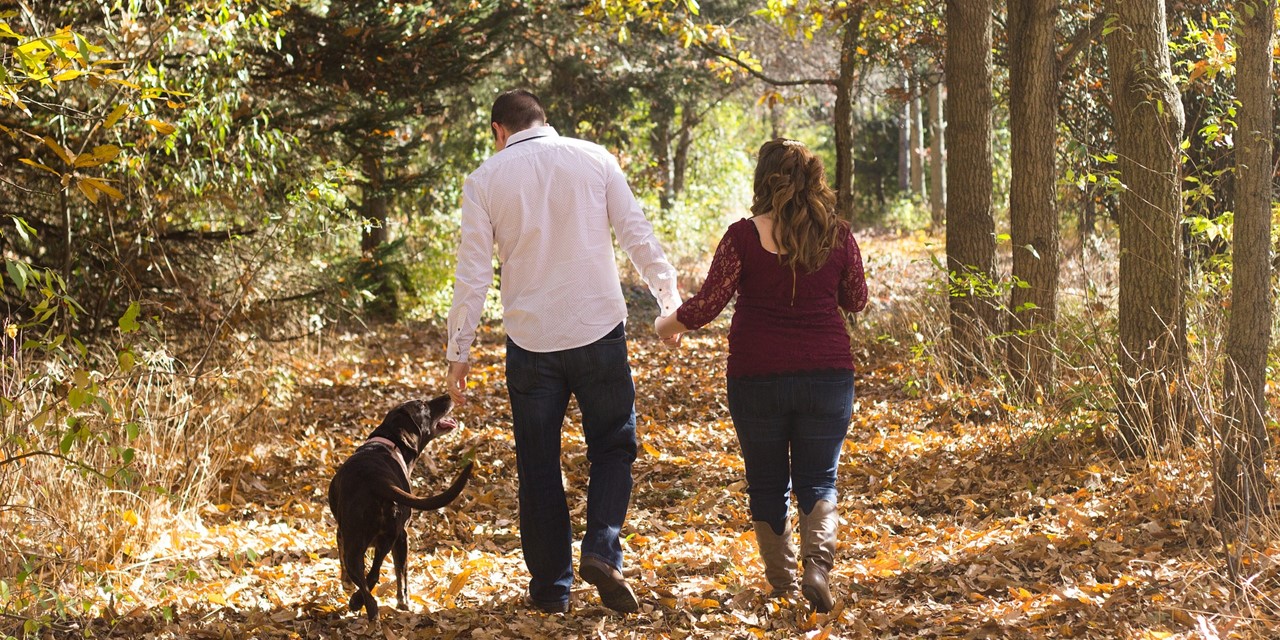 Man en vrouw hand in hand wandelend door het bos met een hond