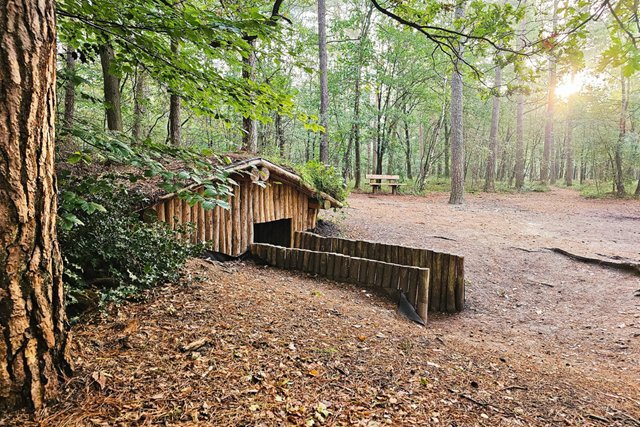 Wandelroute Veluwe Hendrik Mouwenveldroute Het Verscholen Dorp