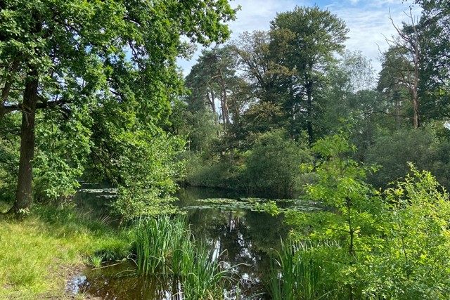 Tussen stad en groen: van de Bossche stadswallen naar Vughtse Lunetten; Vught bos