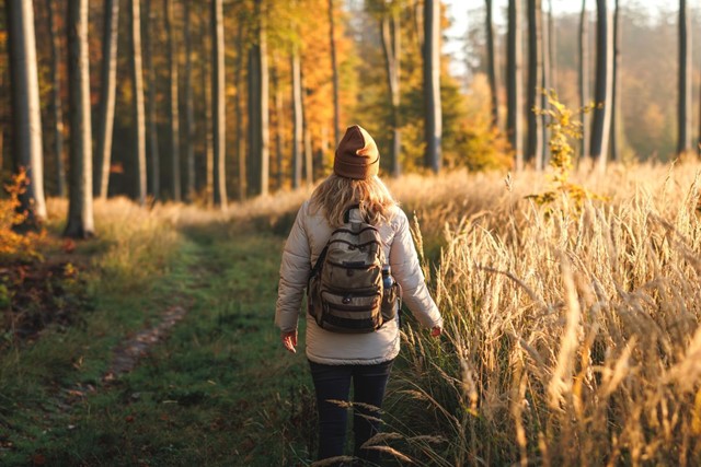 Wandelen Voor Je Brein