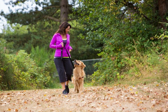 Hoe Maak Je Wandelen Comfortabel Voor De Hond Als Je Langere Afstanden Aflegt: Hond park