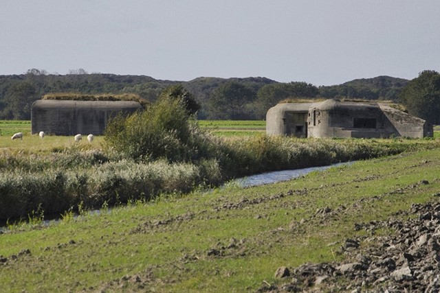 verdedigingswerken in het groene landschap met gras en schapen op Walcheren