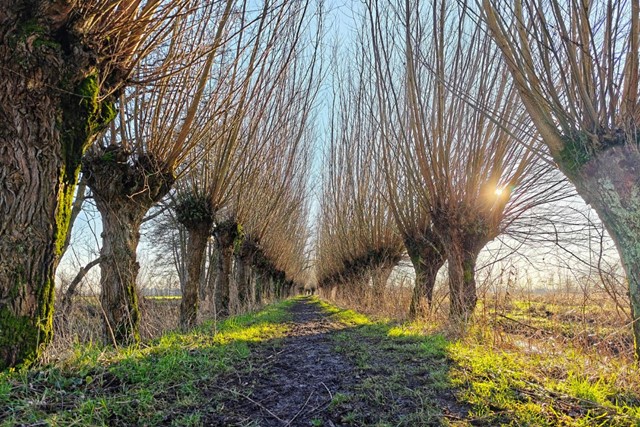 Wandelroute Vijfheerenlanden Tussen Luistenbuul En Zouweboezem Over De Molenkade