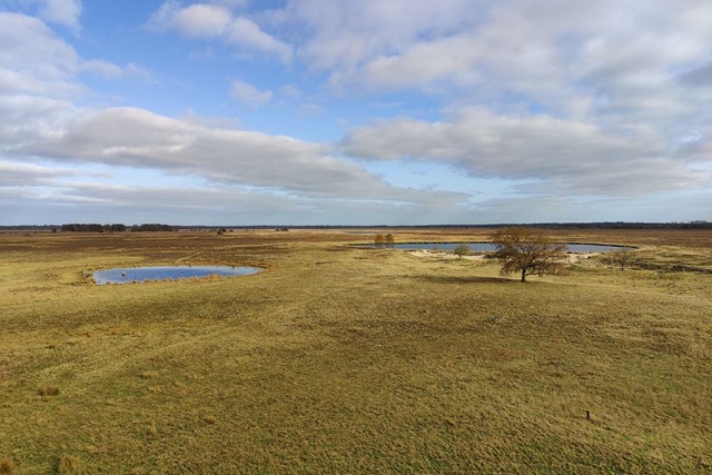 Wandelroute NP Dwingelderveld Jac. P. Thijsse Wandelroute Uitkijkpunt En Schaapskooi