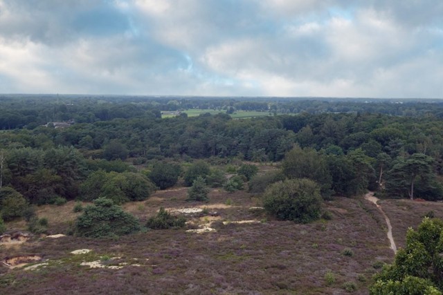 Landgoedwandelingen Banjeren Door Het Coulissenlandschap Van Landgoed Eerde; uitzicht  vanaf uitkijktoren