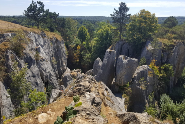 Fondry Des Chiens WBT S Delcourt