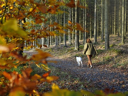 Vrouw met hond in bos