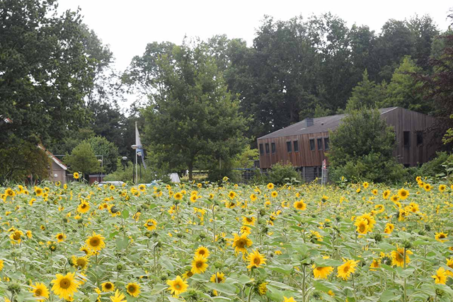 Wandelroute Flevoland Mindervalidepad Wisentbos Dorpsboerderij Dronten