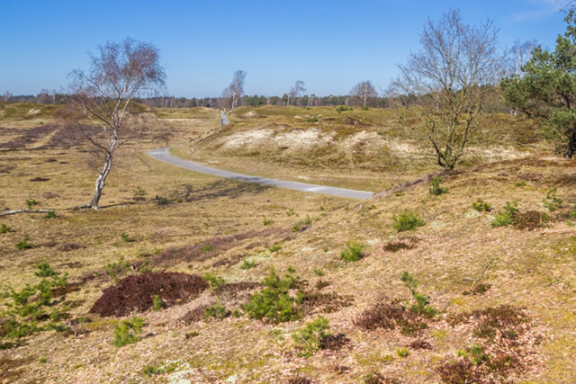 Rolstoelvriendelijke Routes Rolstoelvriendelijke Wandelroute Familiepad Drents Friese Wold