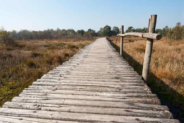 Links En Rechts Van De Peelrandbreuk Etappes