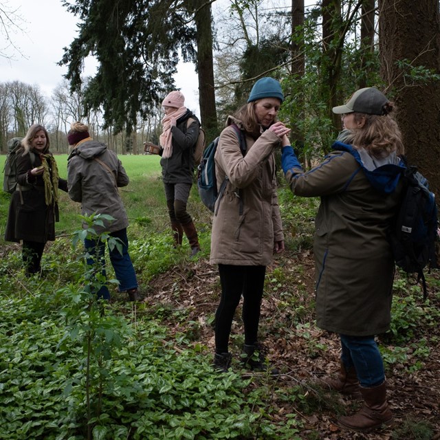 Bosbaden: een trage wandeling die je zintuigen prikkelt; met elkaar ontdekken en voelen