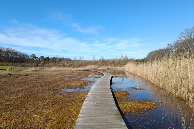 Wandelroute Spanderswoud Zanderij Crailoo Vlonderpad Crailo