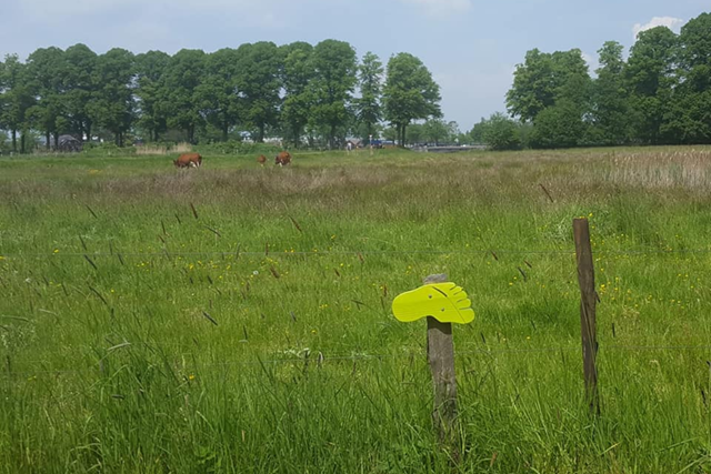 Blotevoetenpad Gelderland Engbergen Rivierduin