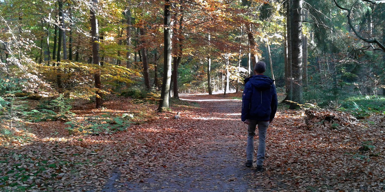afbeelding van een man die door het bos loopt.
