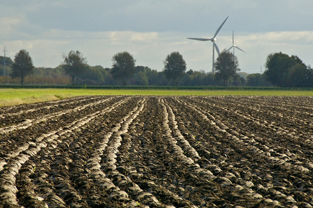 Pionierspad (LAW 1 2) Etappe 6 Klokbekerweg Hollandse Hout Werkeiland Lelystad