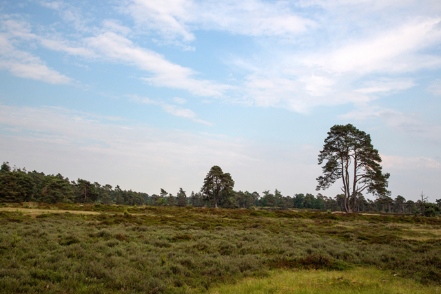 Wandelroute Drenthe Familiepad Drents Friese Het Familiepad