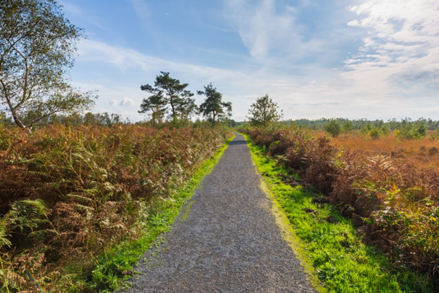 Rolstoelvriendelijke Routes Rolstoelvriendelijke Wandelroute Groote Peel, Meerbaansblaak