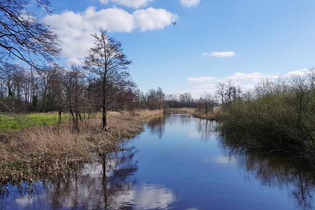 Trage Tocht Balloo Vettenbos, Drentse Aa