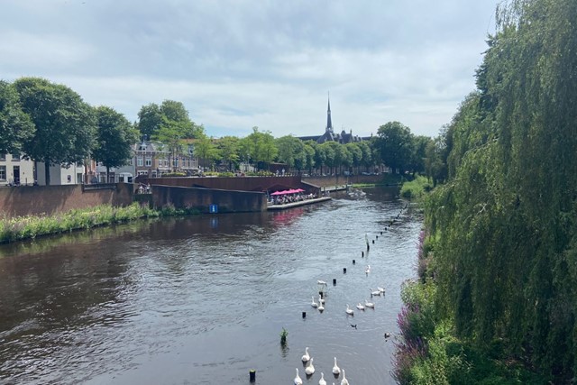 Tussen stad en groen: van de Bossche stadswallen naar Vughtse Lunetten; stadswallen Den Bosch