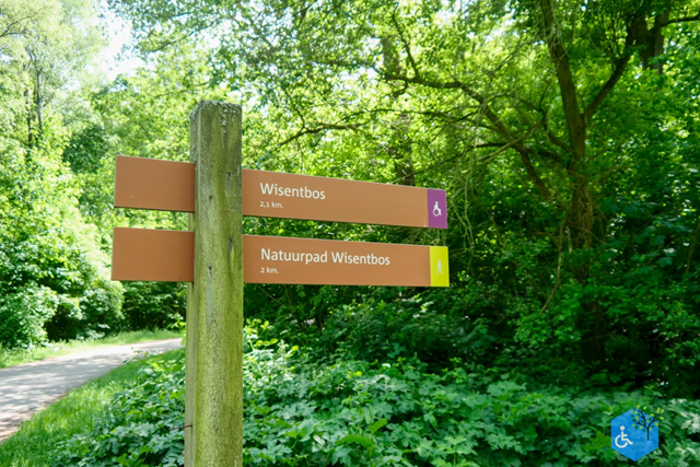 Wandelroute Flevoland Mindervalidepad Wisentbos Jong Loofbos