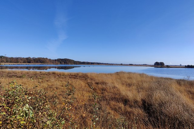 Wandelroute NP Dwingelderveld Jac. P. Thijsse Wandelroute Vogelen