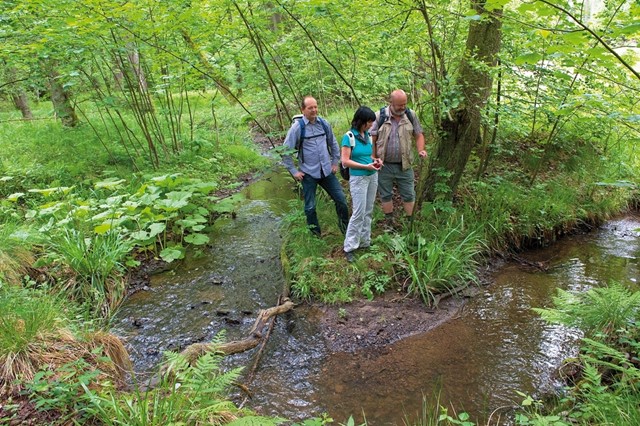 Wandelen in Duitsland: Teutoburgerwoud