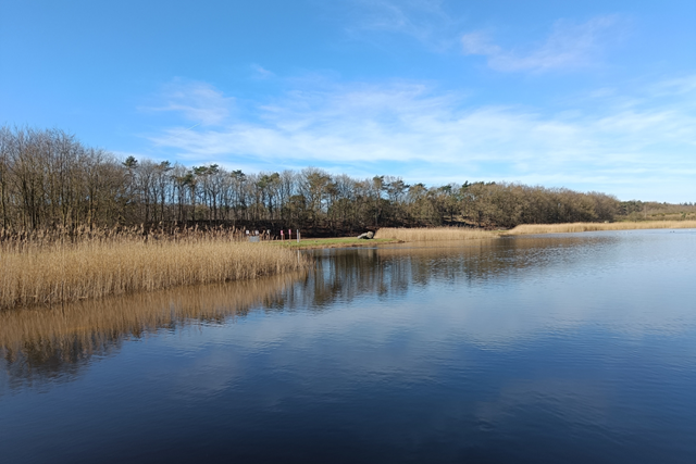 Wandelroute Spanderswoud Zanderij Crailoo Het Zwerfkeienpad