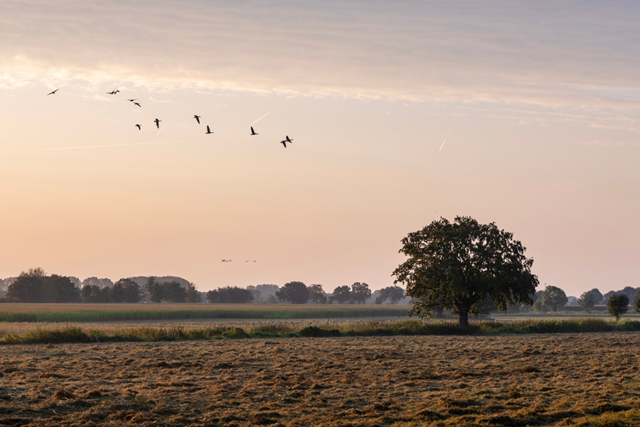 Links En Rechts Van De Peelrandbreuk Etappe 8 Van Boekel Naar Bedaf Natuurgebied Kooldert