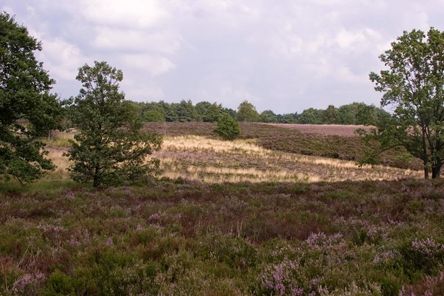 Wandelen in België: Vlaanderen