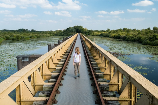 De 10 Mooiste Vlonderpaden In De Moerputten