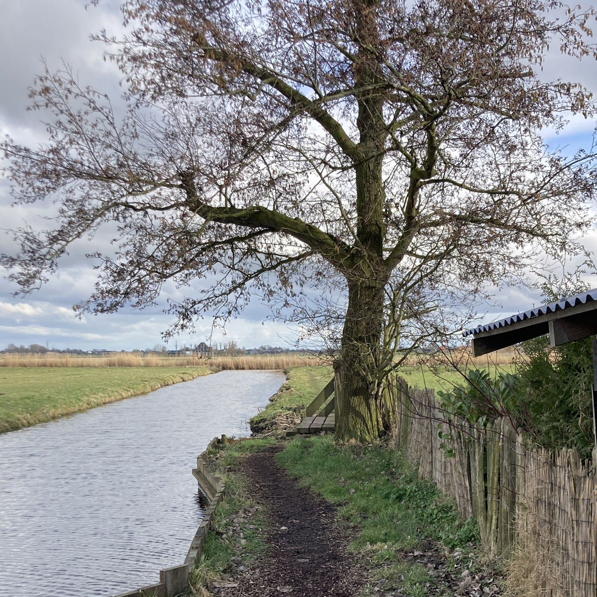 Een Glimp Van Het Trekvogelpad: Van Alkmaar Naar Graft - Wandel