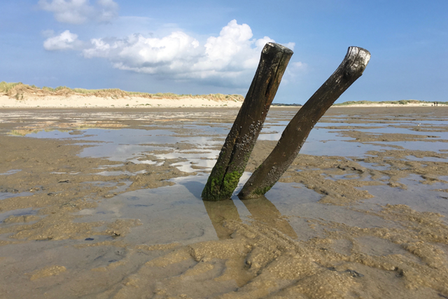 Ongerepte Natuur En Unieke Historie Wandelen Op Terschelling: Noordsvaarder Terschelling