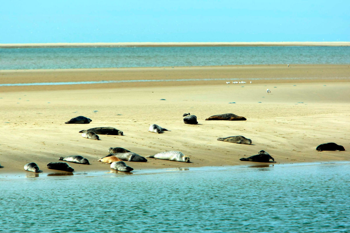 Wandelroutes Op De Waddeneilanden: Tips - Wandel