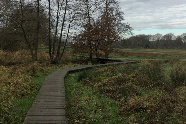 Pieterpad Etappe 4 Zuidlaren Woeste Heide