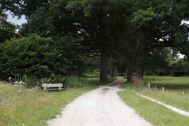 Landgoedwandelingen Banjeren Door Het Coulissenlandschap Van Landgoed Eerde; Zandweg