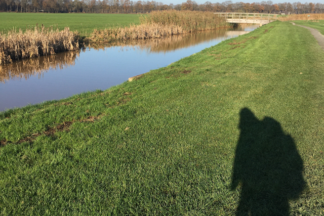 Pieterpad Etappe 7 Sleen Veenmoerassen