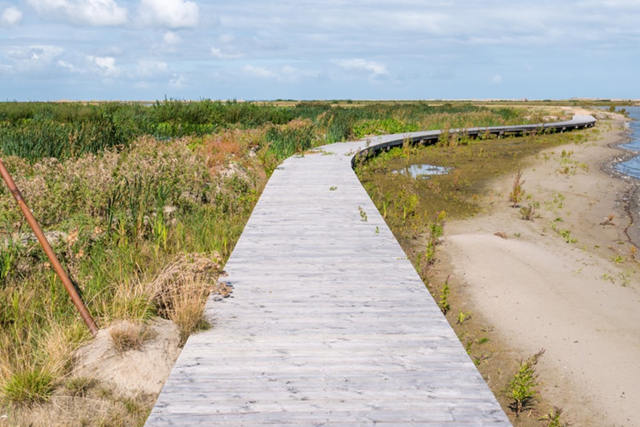 De 10 Mooiste Vlonderpaden In Marker Wadden, Kustroute