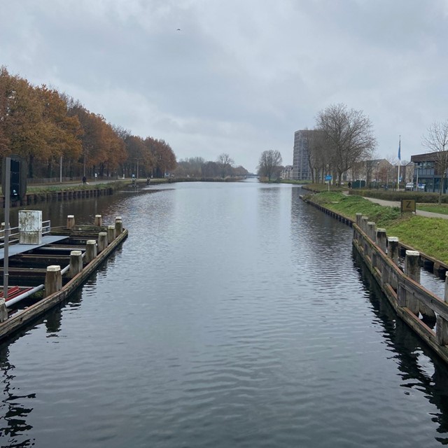 afbeelding van het water in de Piushaven in Tilburg.