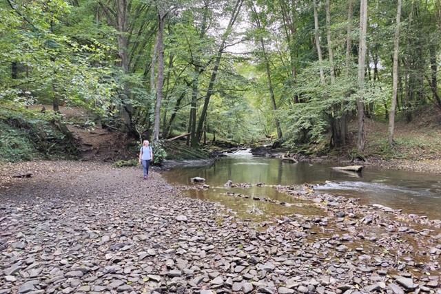 5x avontuurlijk wandelen in de Ardennen