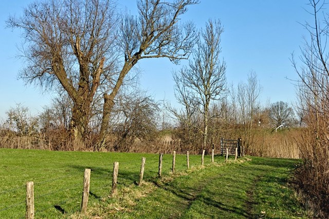 Wandelroute Vijfheerenlanden Tussen Luistenbuul En Zouweboezem Een Uitstapje Naar Luistenbuul