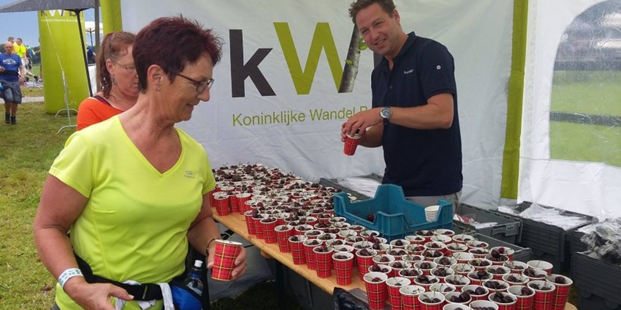 KWB deelt bessen uit voor de wandelaars op Vierdaagse Nijmegen