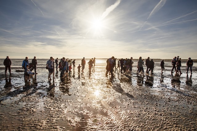 Wandel bij de Nedersaksische Waddenzee tot aan de Oost-Friese eilanden wandelen